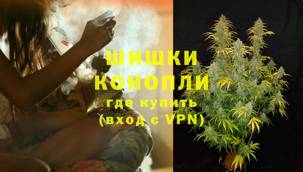 шишки Алексеевка